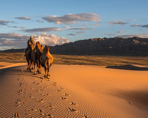 A proposito della Mongolia